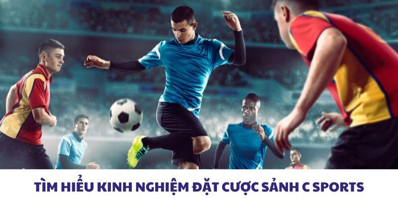 Tìm hiểu kinh nghiệm đặt cược sảnh C Sports